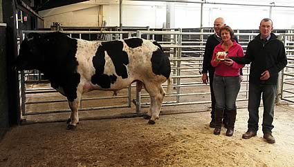 1st prize Young bull with Allan & Deidre Wilkinson, Springfield(vendor) and Mr Stephen Pattinson (Club Chairman).