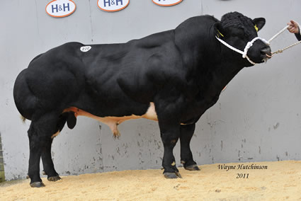 Droit Ebenezer - 8000gns