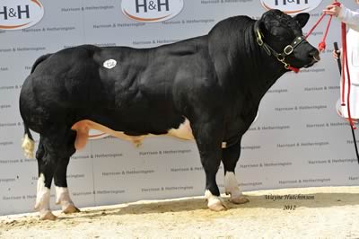 Droit Franco - 14,000gns