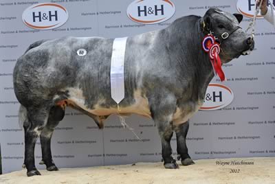 Tamhorn Fernando - Res Champion - 8000gns