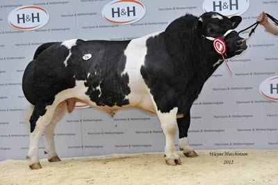 Cromwell Fantastic 10,000gns