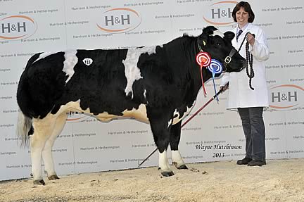 Warehams Georgina - Res Female Champion