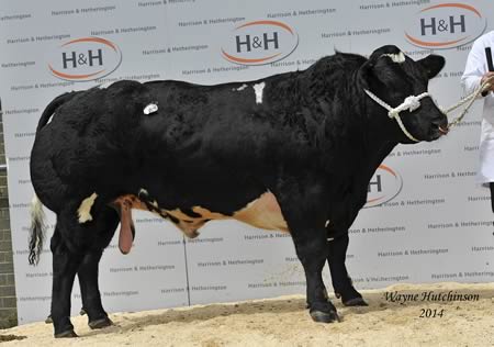 Almeley Handyman - 9000gns