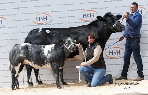 Tamhorn Eden and her calf Warehams Jammie Dodger - 6500gns.