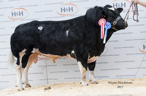 Tweeddale Ironman - 14,000gns. 