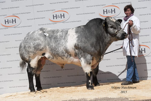 Warehams Ironman - 10,500gns. 