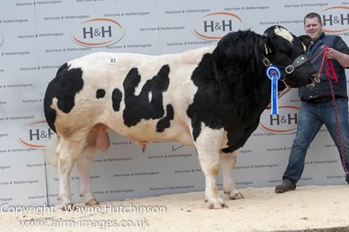 Aultmore Jasper - 9000gns