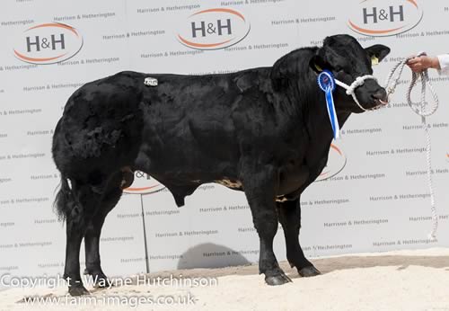 Liley Knight - 10,000gns