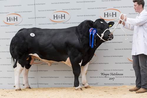 Almeley Kwasimodo - 10,000gns