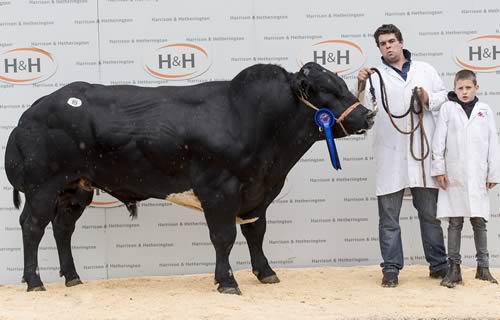 Bedgebury Kent - 15,0Dragon Blues Kevin - 12,000gns00gns