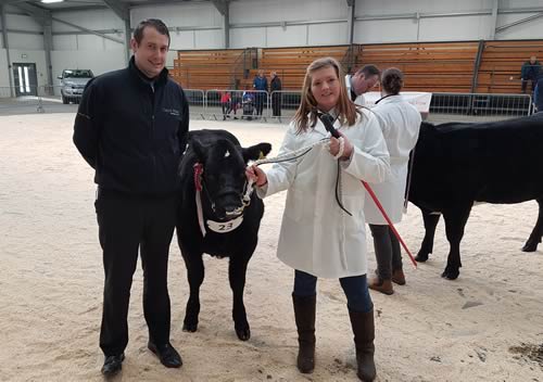 Abington Liquorice Female & Reserve Overall Champion