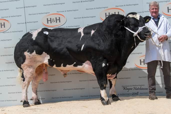 Almeley Kendrick - 10,000gns