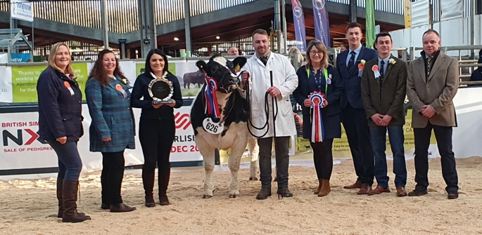 Border British Blue Club Open Calf Show