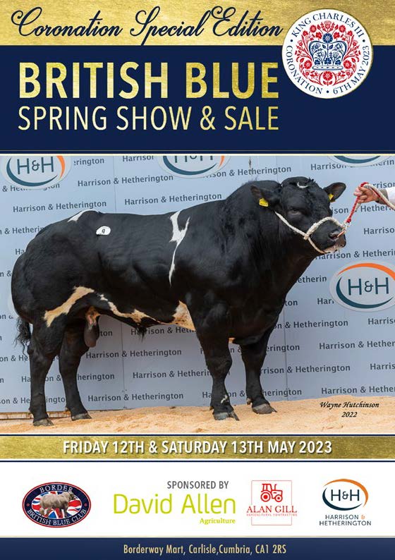 Border British Blue Club 32nd Annual Spring Show & Sale at Carlisle