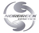 norbreck