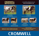 Cromwell