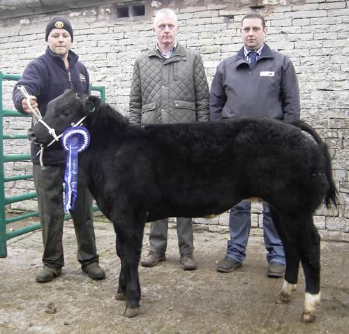 Champion British Blue and Reserve Supreme Champion from Messrs. Brown