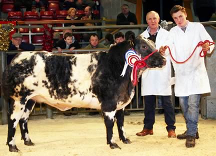 John Stephenson and his son, also John, with their 2013 Skipton Christmas prime beef reserve supreme champion.