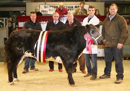 Pictured with the 2013 Skipton Christmas prime beef supreme champion are, from left, Willie Timm, co-judges Paul Leadbeater and Michael Atkinson, Jonathan Timm and buyer James Roberthshaw, of Keelham Farm Shop.