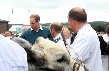 Members, Wyn Jones and Nigel Pritchard being presented to Prince William as he inspects the British Blue line-up.