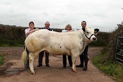 Cover girl NewPole Feisty with left to right, Pip, Reg, Jools & Phil