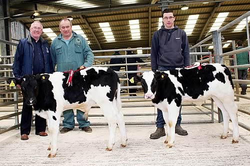 Pictured with Skipton’s May rearing calf champion and reserve – the former achieved an all-time mart record price of £690 – are, from left, Cogent’s breeding advisor Barry Lawson, Shaun Sowray and family member James Dixon.