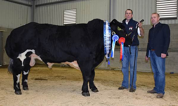 Reserve Male Champion Boherard Hannibal