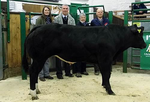 Reserve Champion with Gail Harker of I’Ansons, Sponsors, Walter Dandie, Judge, Carol Tunstall of Eden Farm Supplies (Brough), Sponsors, Andrew Brown of KA Brown & Sons, Asby Hall, Vendor