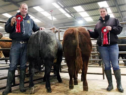 Dylan and Nicky Townend with their two first prize 2015 Skipton young bulls.