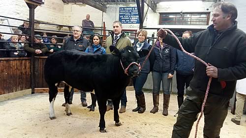 British Blue Cross is Champion at Middleton-in-teesdale