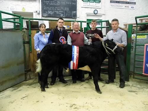 Supreme Champion, a British Blue x Heifer from Richard Tiplady