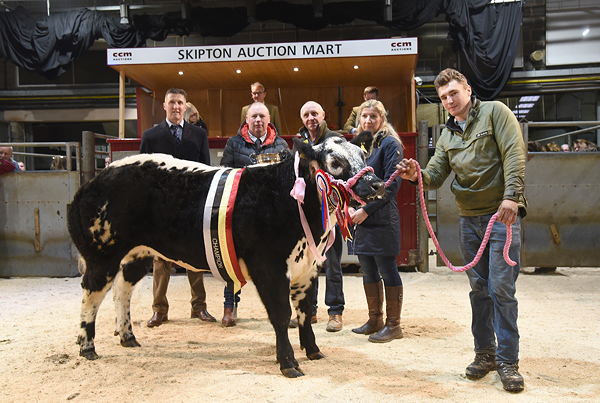 Pictured with the 2019 Skipton Christmas prime cattle supreme champion are, left, co-judge Andrew Atkinson, co-judge and buyer Philip Gregory, John Stephenson Snr, Sarah Hargreaves, representing mainline sponsor Skipton NFU, and John Stephenson Jnr.