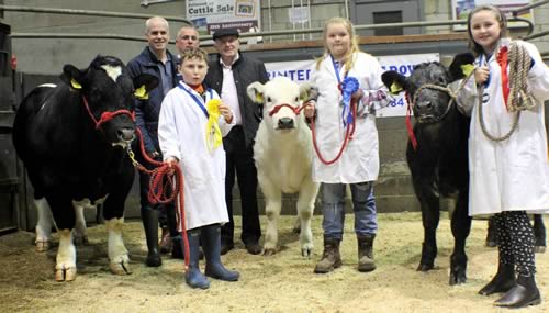 The top three in the young handlers event during the Blue calf show were, from right in front, Laura Neil, first, Emily Peters, second, and Harry McGinn, third. 