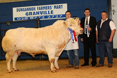 The Reserve Supreme Champion at the Northern Ireland Blue Cattle Club Autumn Show and Sale was Droit Brutus ET owned by Richard Mowbray, right, Newtownstewart. Edmund Lowe, Agri Business Manager, Northern Bank is pictured presenting the prizewinning rosette.