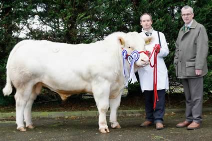 The Champion Male and Reserve Supreme, Chatham Denver, with David Morrison & John Henning from Sponsors, Northern Bank