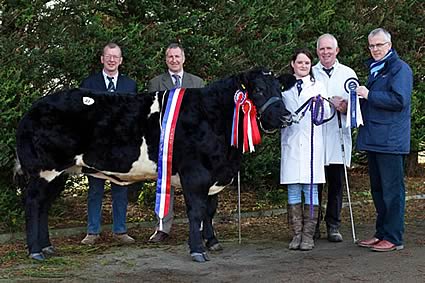Knockagh Elegant ET owned by W.J Ervine, Newtownabbey was the Supreme Champion, included in the photograph from left: Steve Pattison, Carlisle, Judge; Gwyn Williams, President, British Blue Cattle Society; Laura and Jim Ervine and John Henning, Head of Agri-Business, Northern Bank, Sponsors.