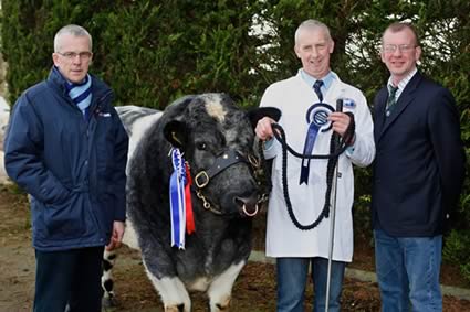 Ivan Gordon, Kilkeel owned Springbank Eddie ET, the Reserve Supreme Champion, Ivan is pictured with Steve Pattinson, Carlisle, Judge of the event and John Henning, Head of Agri-Business, Northern Bank, Sponsors