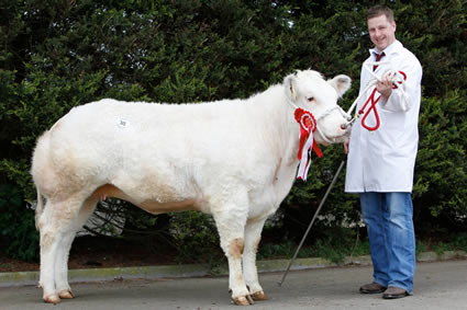 Droit Freda ET owned by Richard Mowbray, Newtownstewart and exhibited here by Neil McIlwaine was the Female Champion 