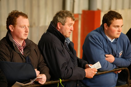 Keeping a close eye on the judging ring