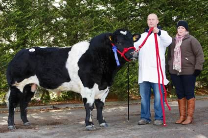 Deerpark Finn owned by Kevin and Angela Kane, Aghalee came second in Class 2