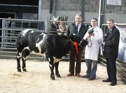 Blackford Hannahs Harlequinn with judge Samuel Cleland, owner Harold McKee and sponsor Richard Graham from Danske Bank, Ballymena.