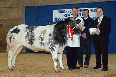 Female Champion held and owned by Robert McCormick with Sean O'Brien - Donegal who judged the event and Tommy Armstrong - Provita sponsors
