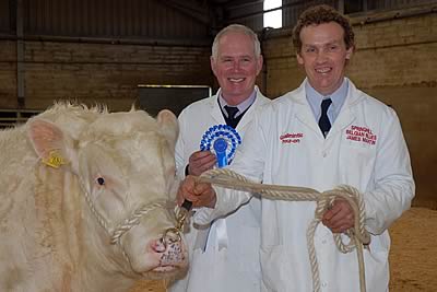 Reserve Champion held and wned By James Martin also pictured is Jim Ervine - Chairman of the N.I Belgian Blue Club