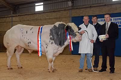 Supreme Champion - Annaghone Valiant held and owned by Norman Hammond from Stewartstown.