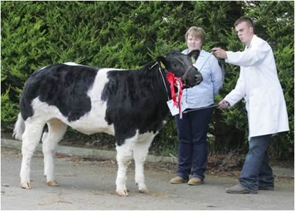 Reserve female champion went to Oliver McGuinness with Libby Young representing sponsor's Donnelly Group