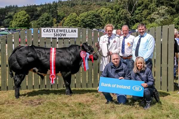 Bank of Ireland British Blue Young Bull Champion Springhill Kojak with breeder James Martin, judge John Killen, ISA Jim Harrison and Bank of Ireland representatives Damien McLaughlin and Paula White. 