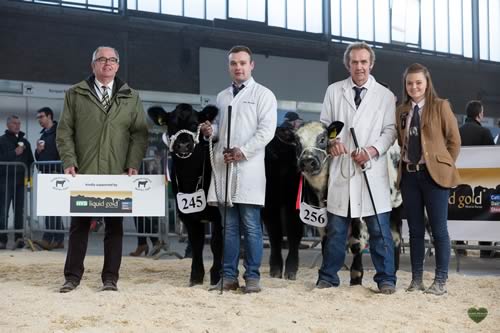 Junior Champion & Reserve Junior Champion - James & Sam Martin