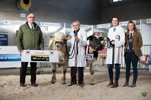 Senior Champion & Reserve Senior Champion - JM Morrison & Son With Sponsor HVS Liquid Gold