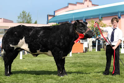 Zara Chestnutt, Bushmills with Clougher Wilma the Reserve Supreme Champion and the Reserve Female Champion