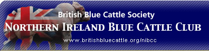 Northern Ireland Blue Cattle Club